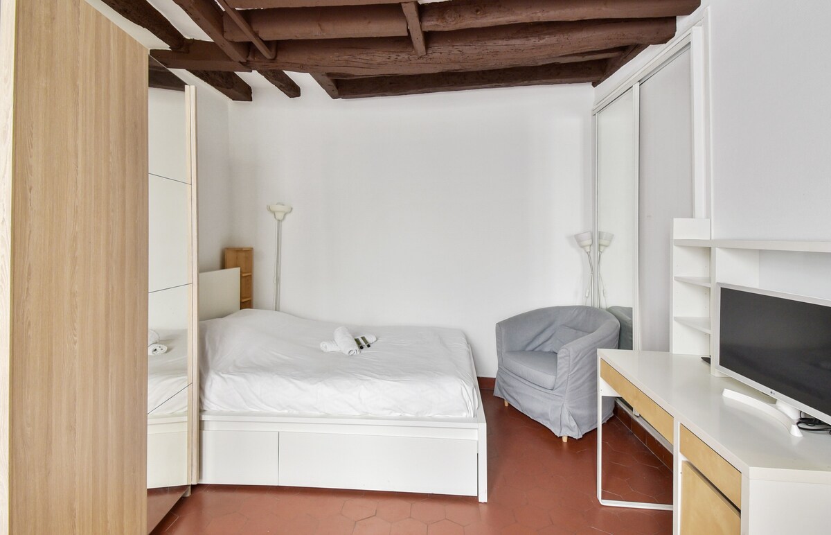 Charming studio a few steps away from Chatelet