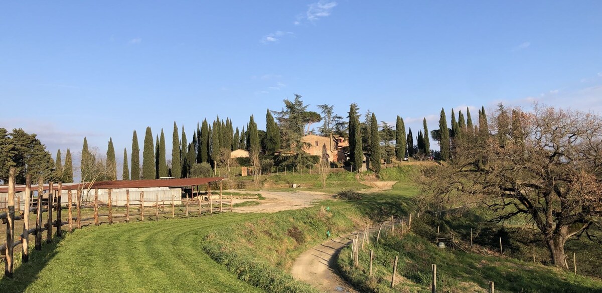 Borgo Melograno - Appartamento Fa