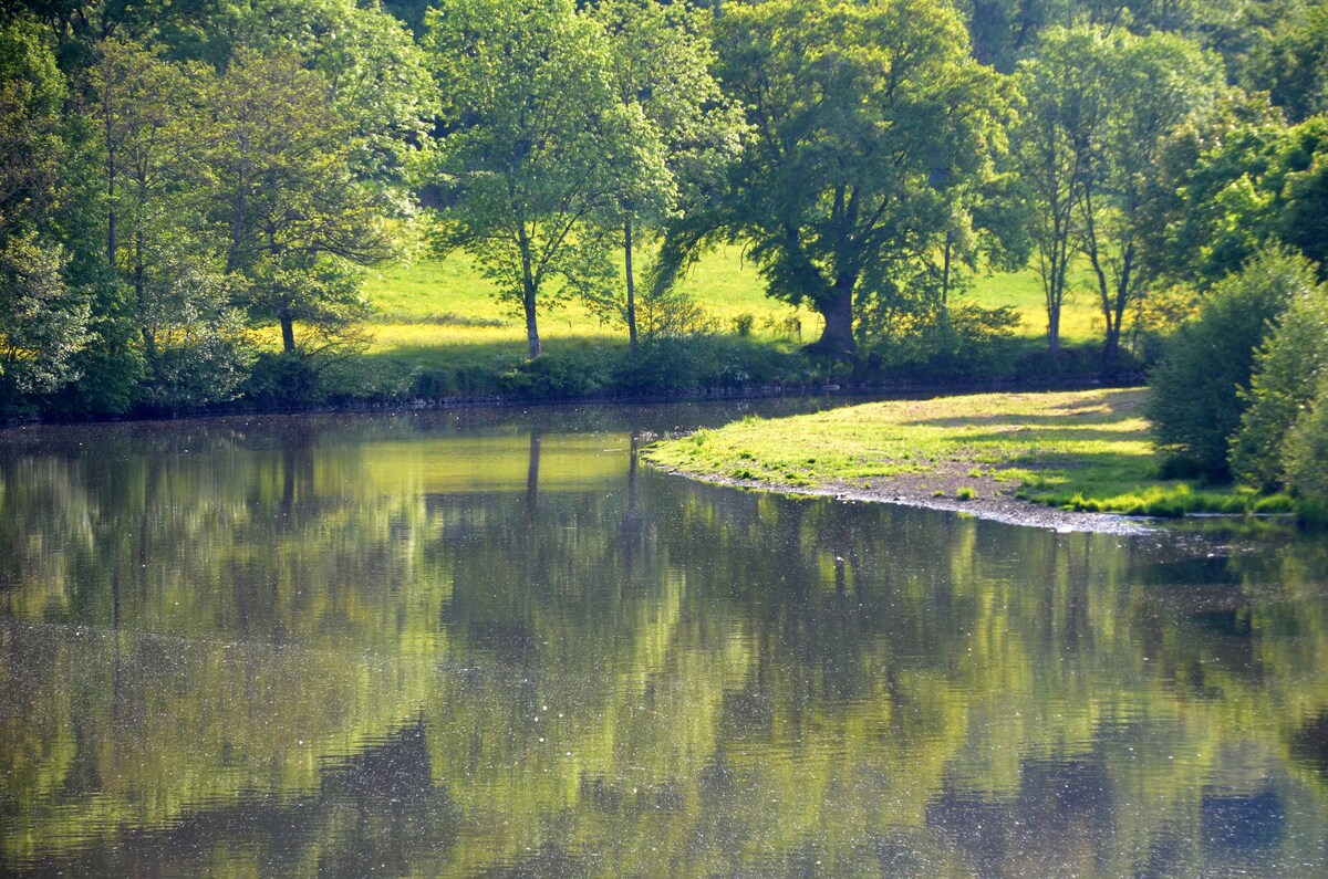 Au bord de l'eau