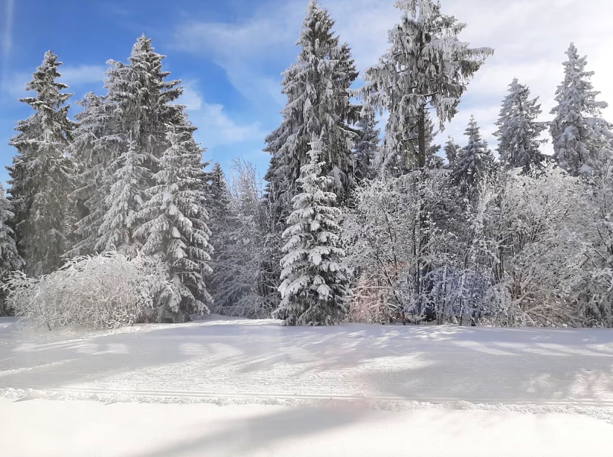 Ferienwohnung Waldblick