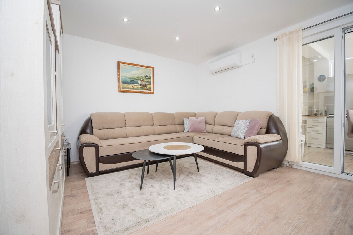 Apartment Filipovic (100871-A1)