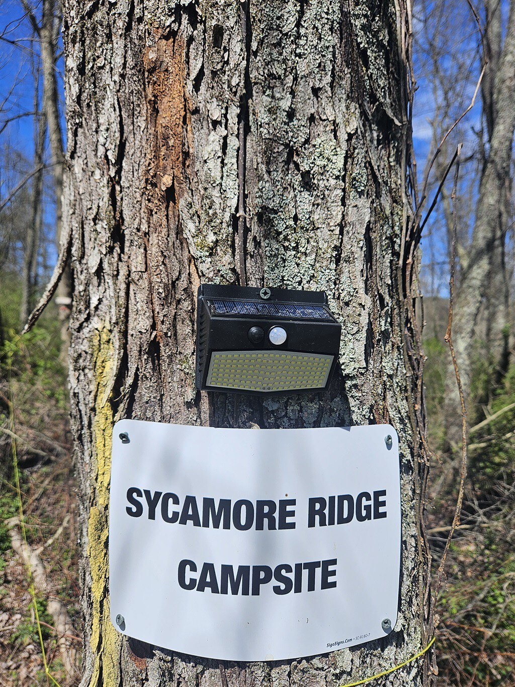 Sycamore Ridge Campsite at Hocking Vacations