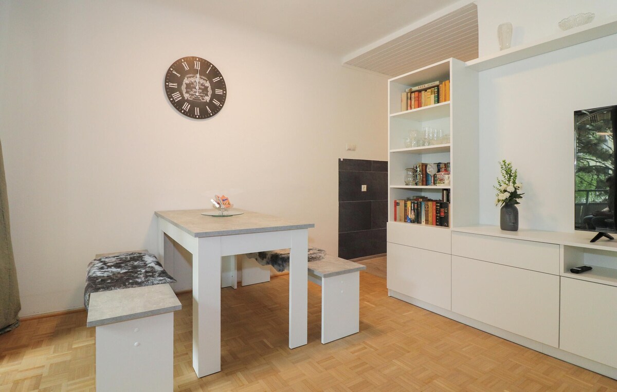 Amazing apartment in Wien with WiFi