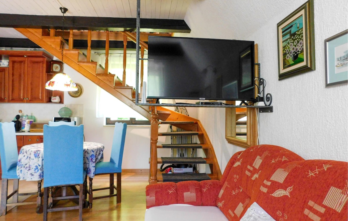2 bedroom amazing home in Mala Lesnica
