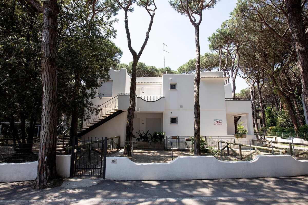 Villa Margherita - Villa Margherita 164