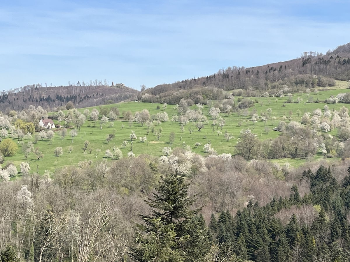 Fewo Ebringen Vosges景观