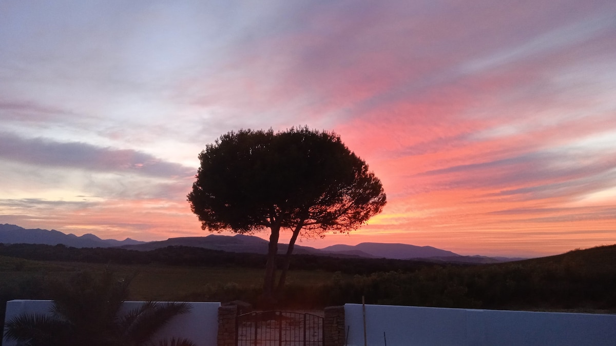 Cortijo el Polear