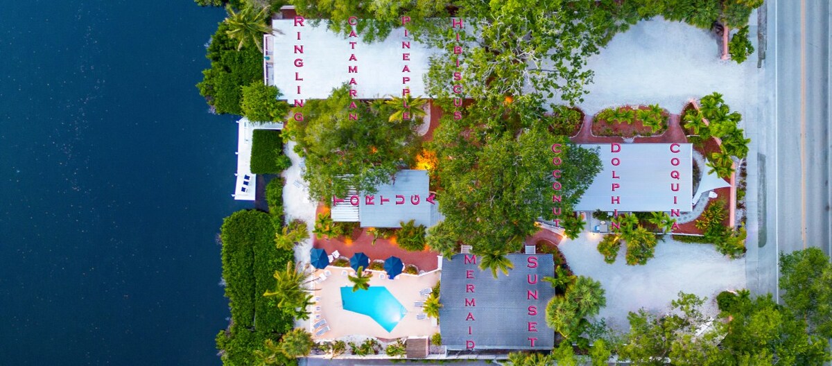 Heron Lagoon, dock, pool, the Poolside Bungalows