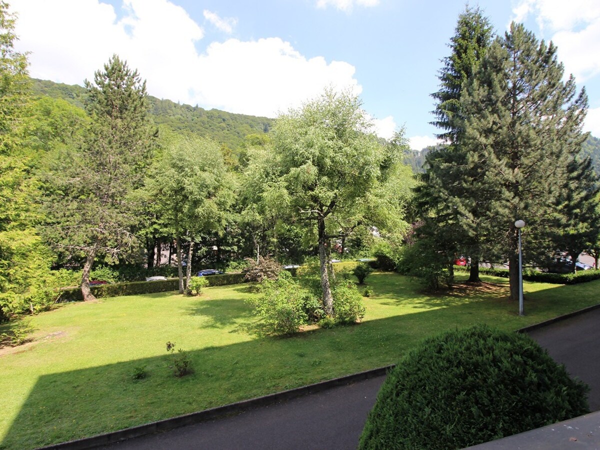 Le Mont Dore - T2 avec balcon, wifi