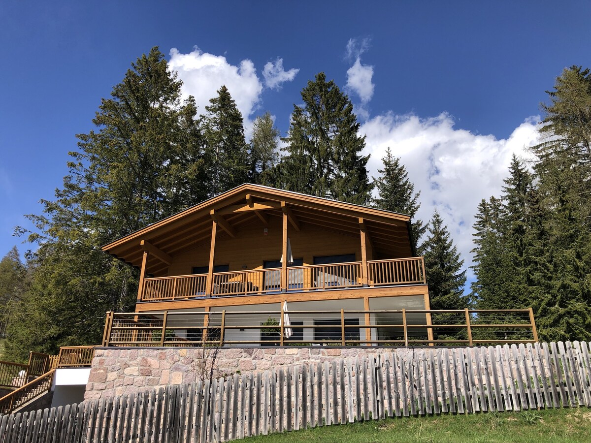 Piz Aich Natur Chalet Panorama