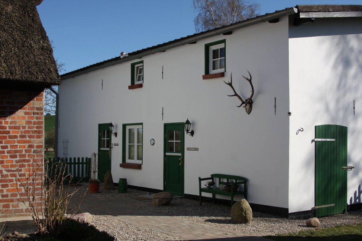 Hof Seelvitz - Ferienhaus Birlibi