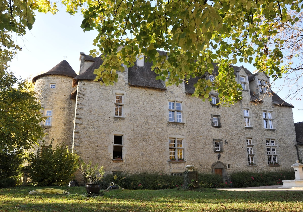 Amazing mansion for 15 ppl. at Saint-Genès-du-Retz