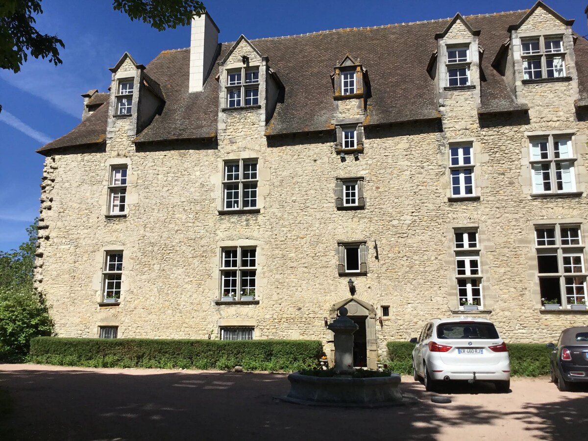 Amazing mansion for 15 ppl. at Saint-Genès-du-Retz