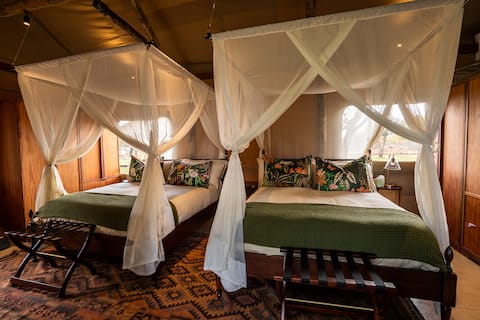 Lotsane Limpopo Luxury River Tent Monkey Suite