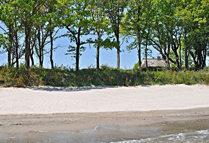 Reethus am Strand Lobbe | Haushälfte 2