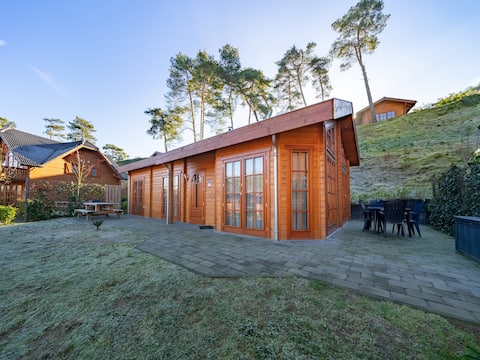 Wooden chalet with WiFi near Brunssummerheide