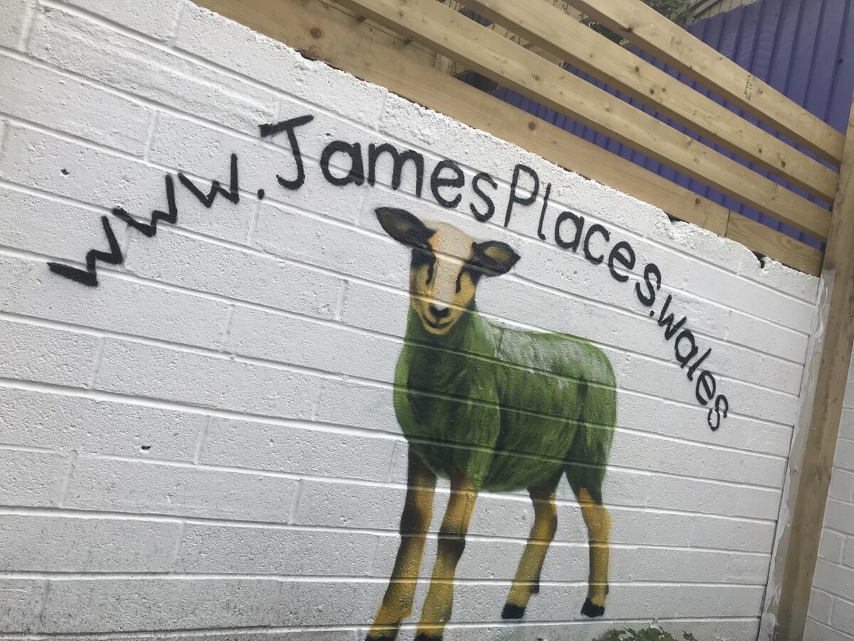 James 'Place Dowlais自炊式单间公寓5 Gelert