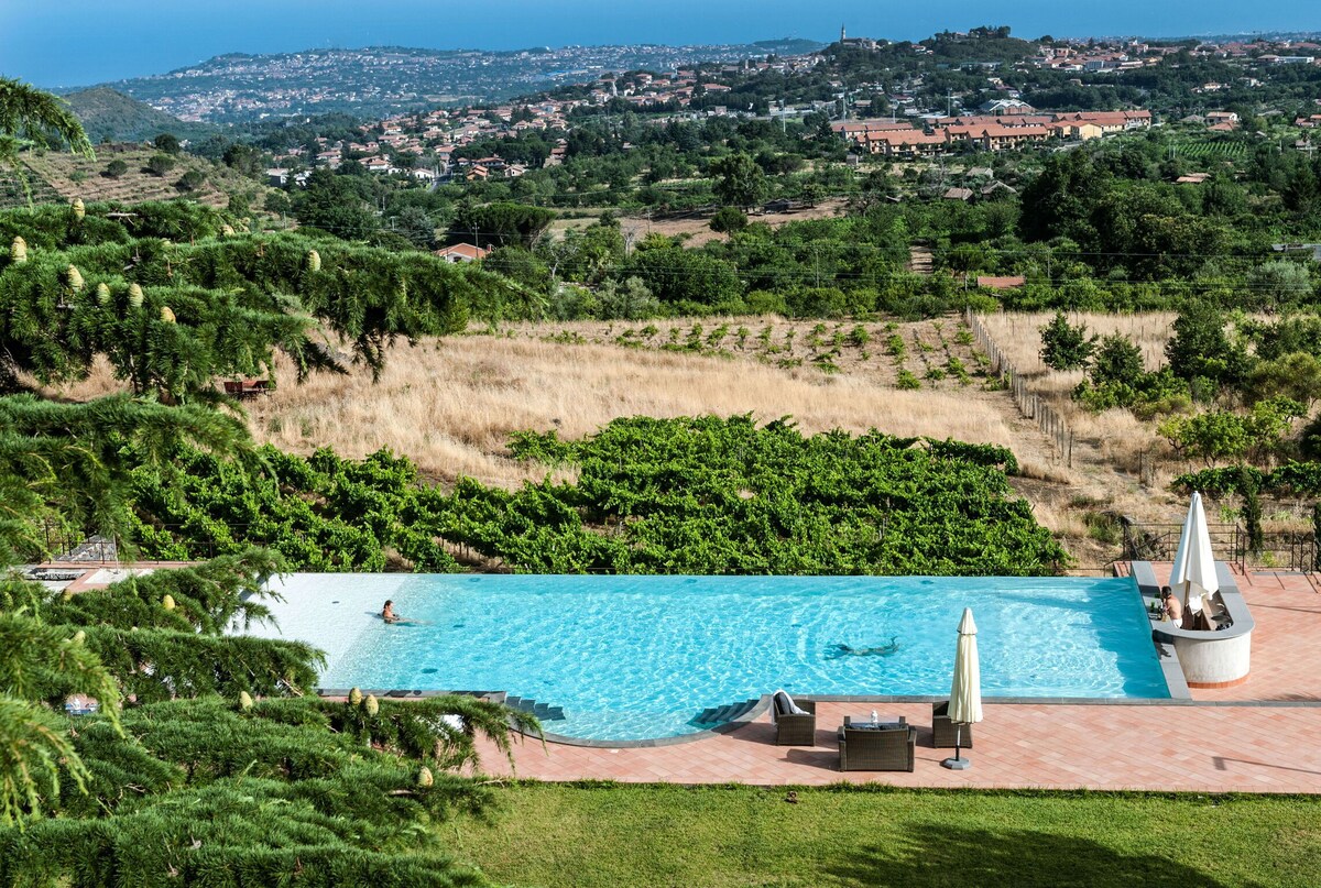 别墅位于葡萄酒庄园，带私人泳池、大海和等