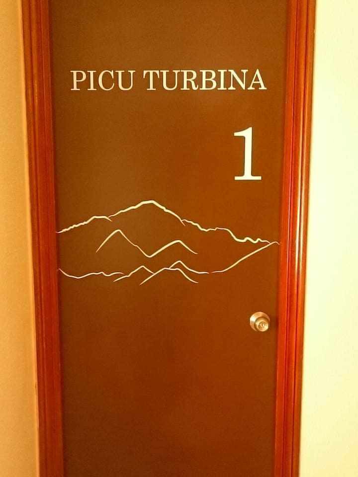 01_Picu Turbina ，带独立卫生间的双人房
