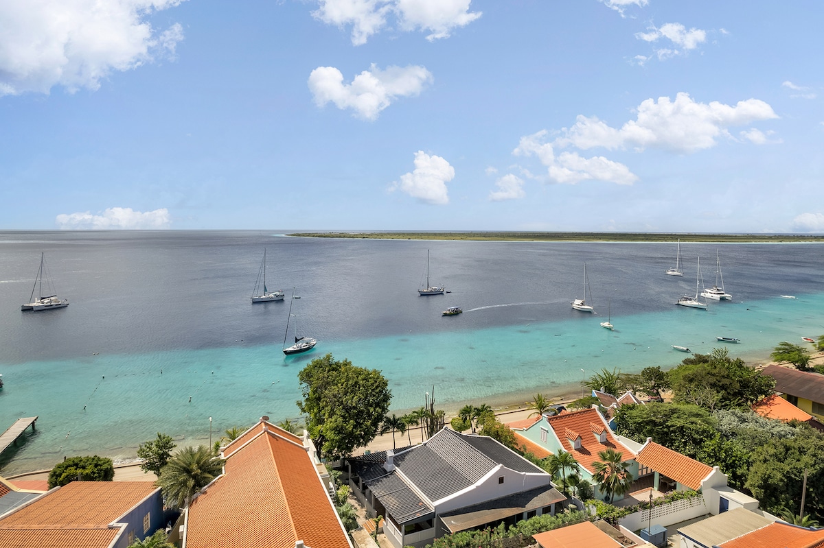 加勒比海滨别墅海景海景