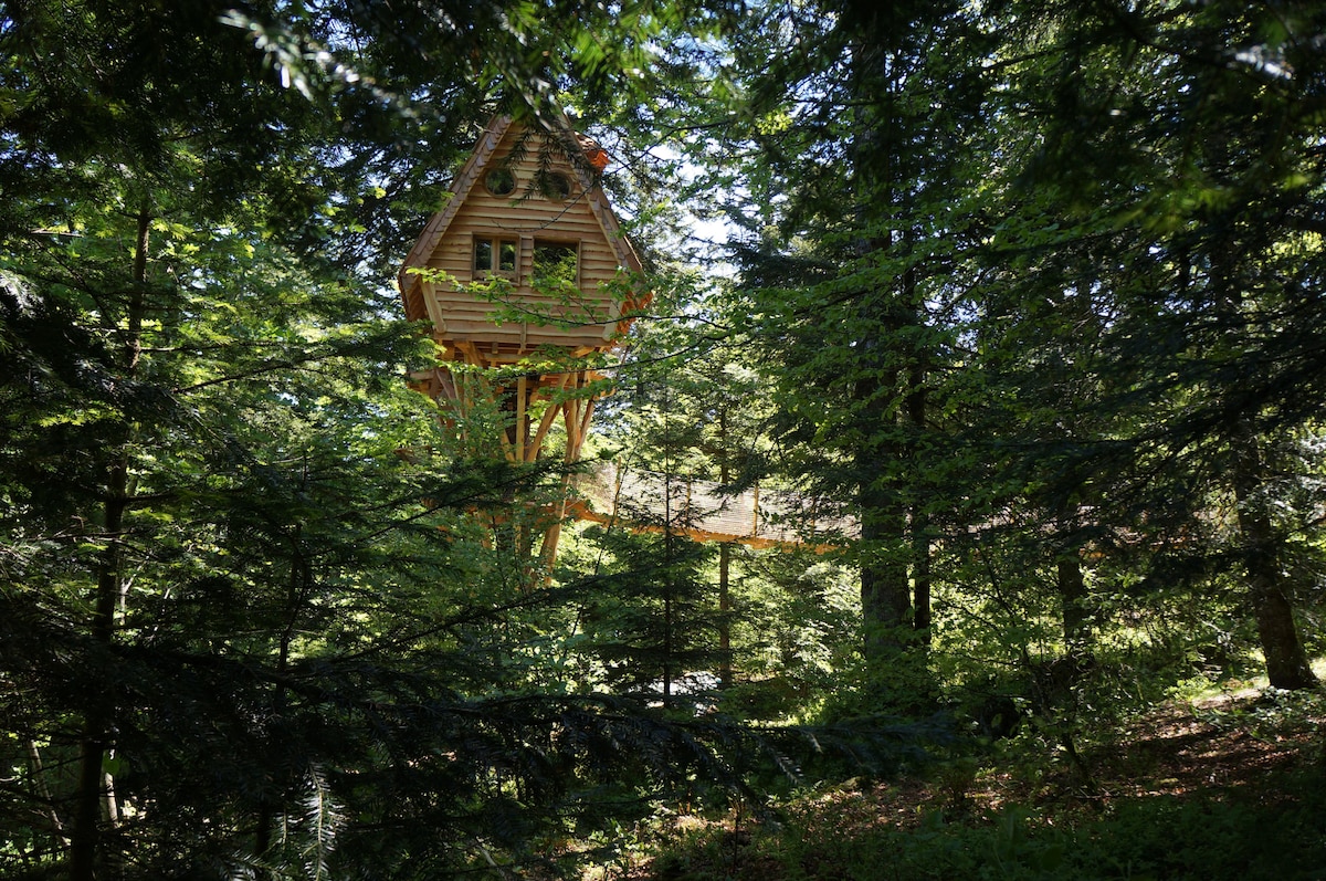 Nis dau Sapi tree house