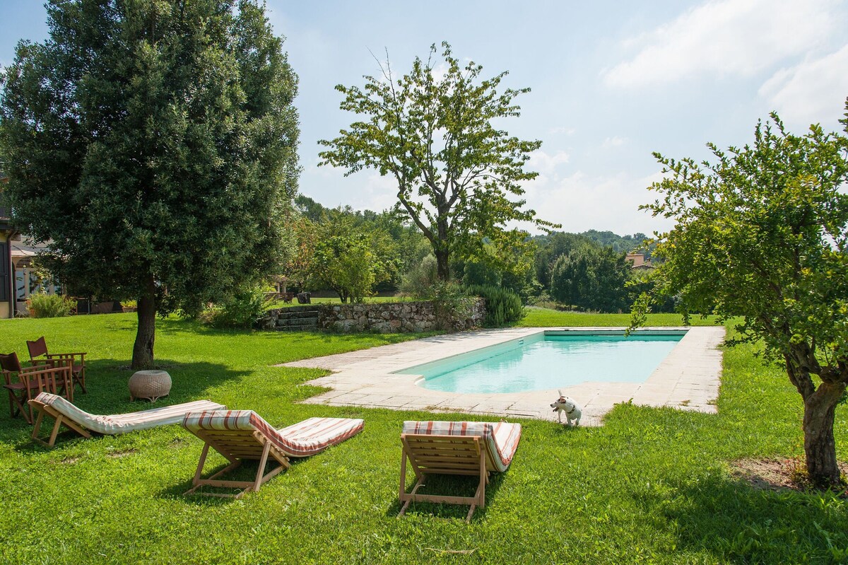 皮亚琴扎（ Piacenza ）带泳池的独家别墅