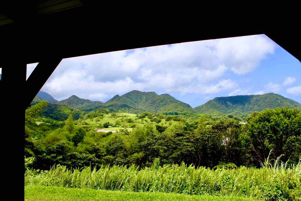 Le bungalow à flanc de montagne