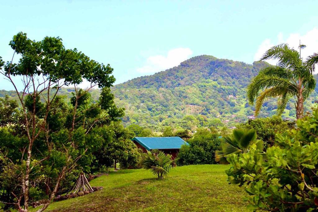 Le bungalow à flanc de montagne