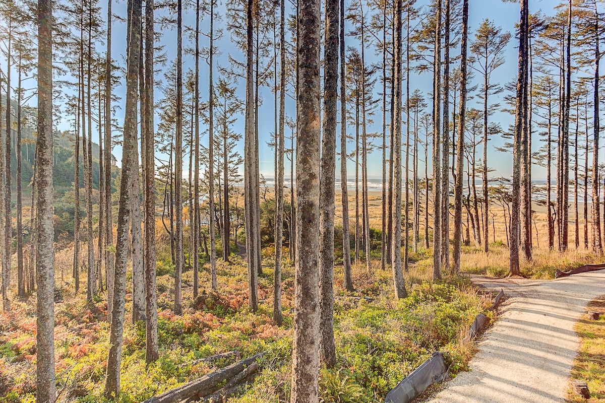 Seabrook's Seaforever, stunning oceanfront views