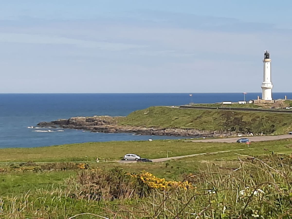 Aberdeen Lighthouse Cottage 4 | Coastal | Dolphins