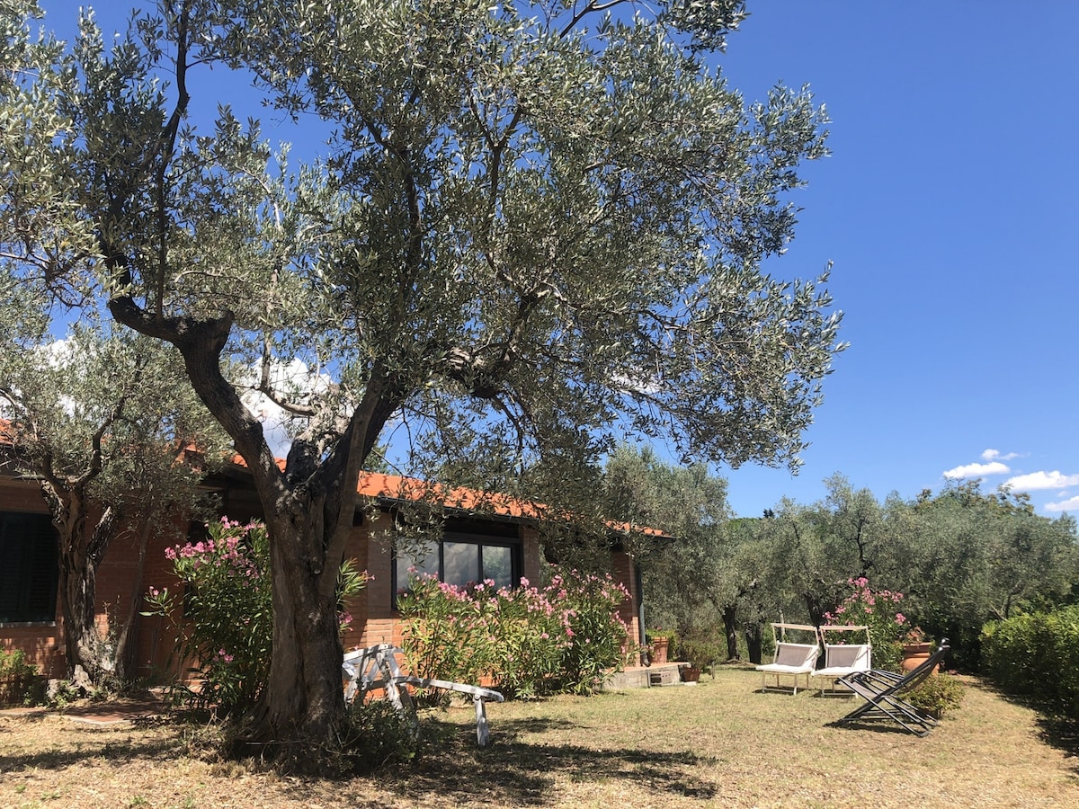 Cottage Gaia with sea view