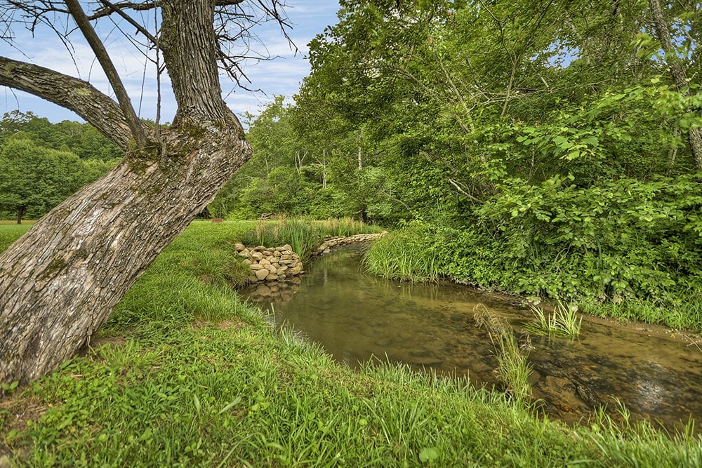 草地溪（ Meadow Creek ） -平静安谧，配备热水浴池和火坑