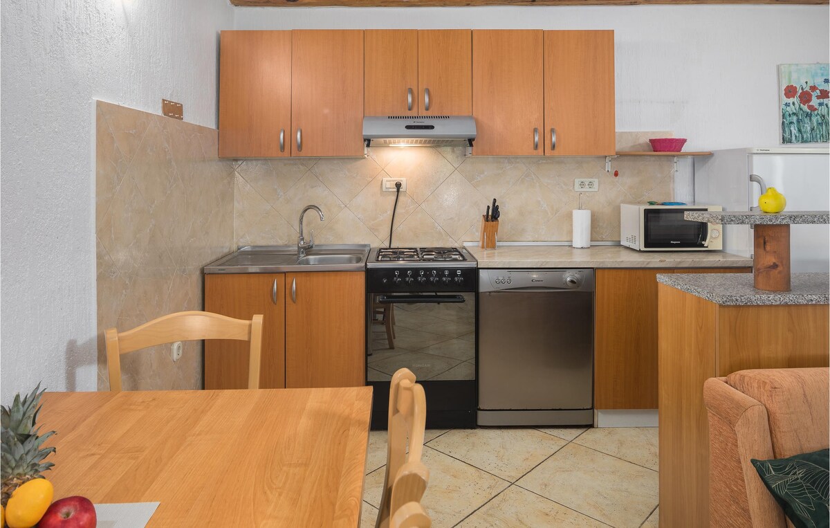 Amazing home in Kanfanar with kitchen
