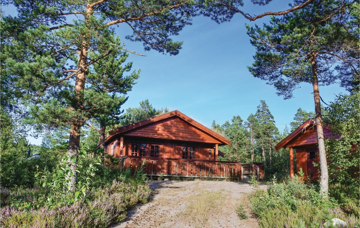 Amazing home in åmli with house a mountain view