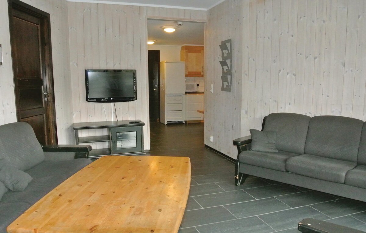Apartment in Hemsedal with house a mountain view