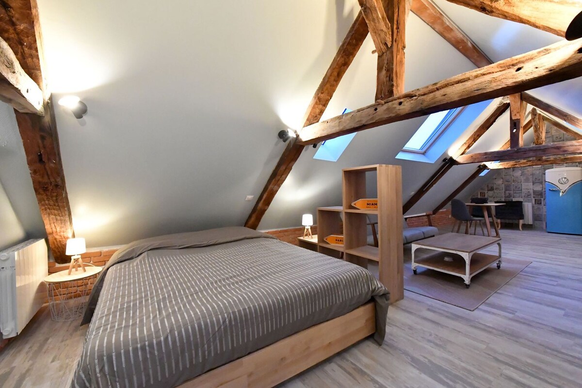 LOFT SOUS LES COMBLES - LOFT位于筏下