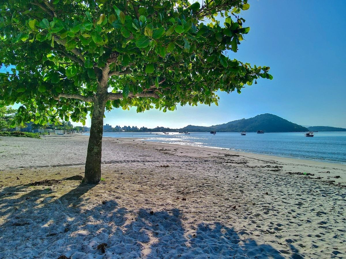 Armação Casa Pés na Areia Frente Mar Gov Celso Ram