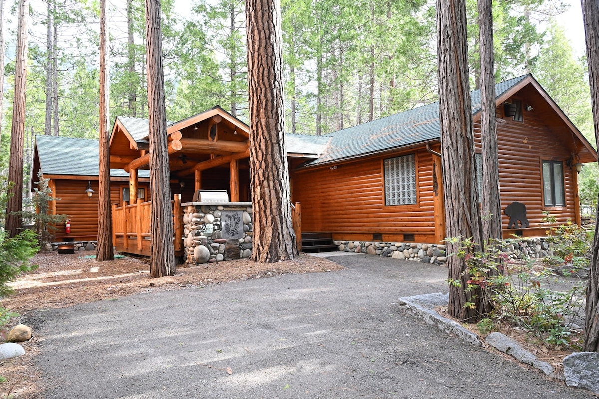 (66)灰熊巨人（ Grizzly Giant ） -约塞米蒂（ Yosemite ）内的小木屋！
