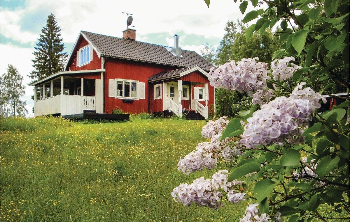 Nice home in Lesjöfors with 3 Bedrooms and Sauna