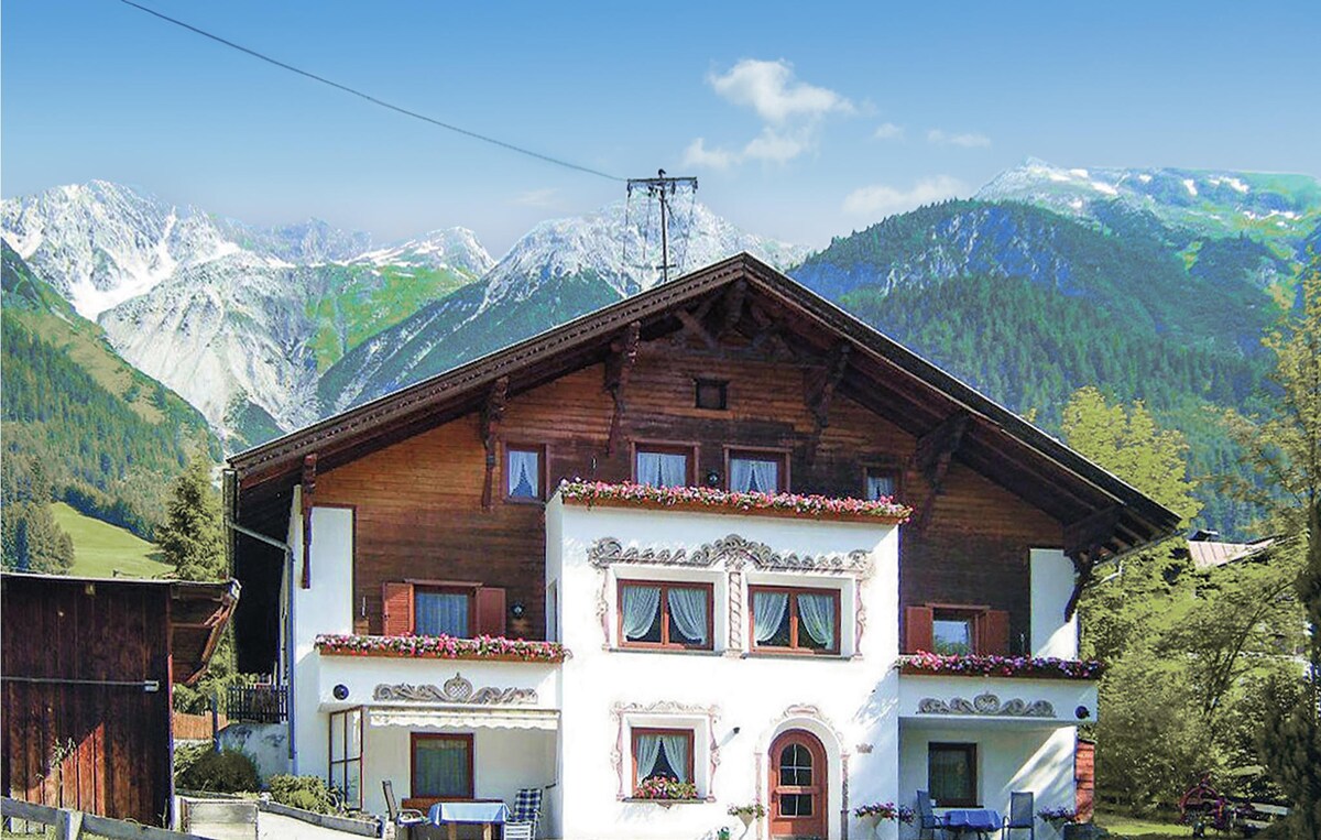Pettneu am Arlberg配备无线网络的超棒公寓