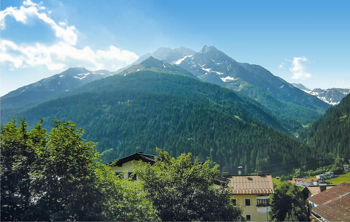 Pettneu am Arlberg配备无线网络的超棒公寓