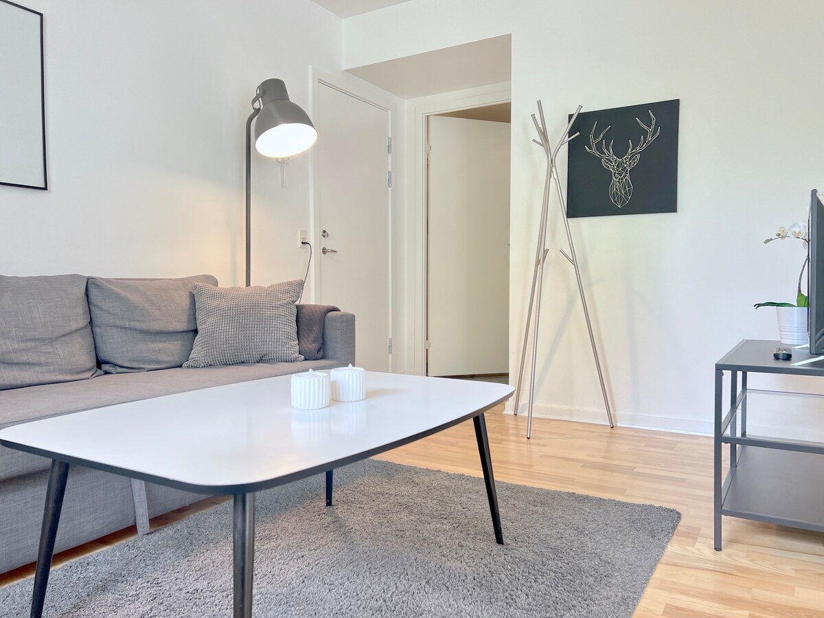 Cozy one bedroom apartment on Edvard Thomsens Vej.