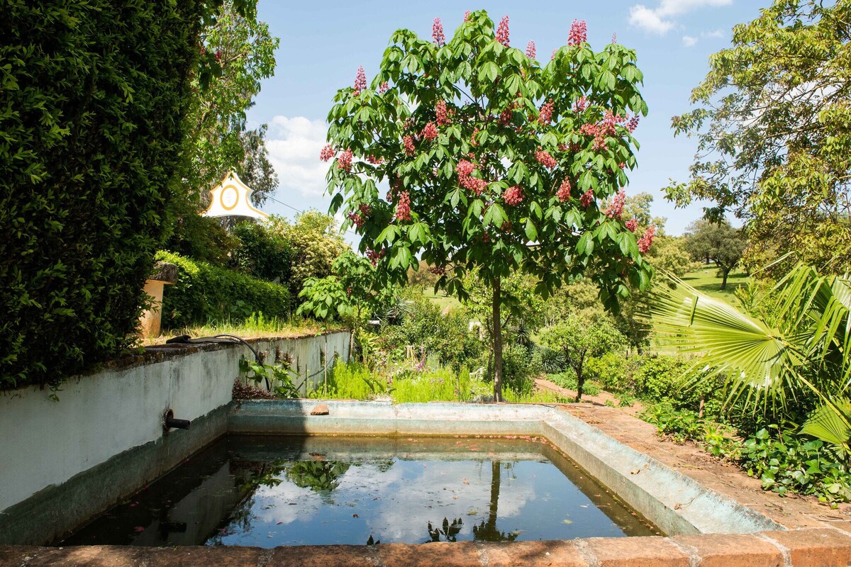 Country mansion in Montemor-o-Novo Alentejo