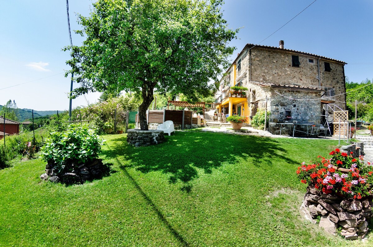 Holiday home on the hills between Pescia and Lucca