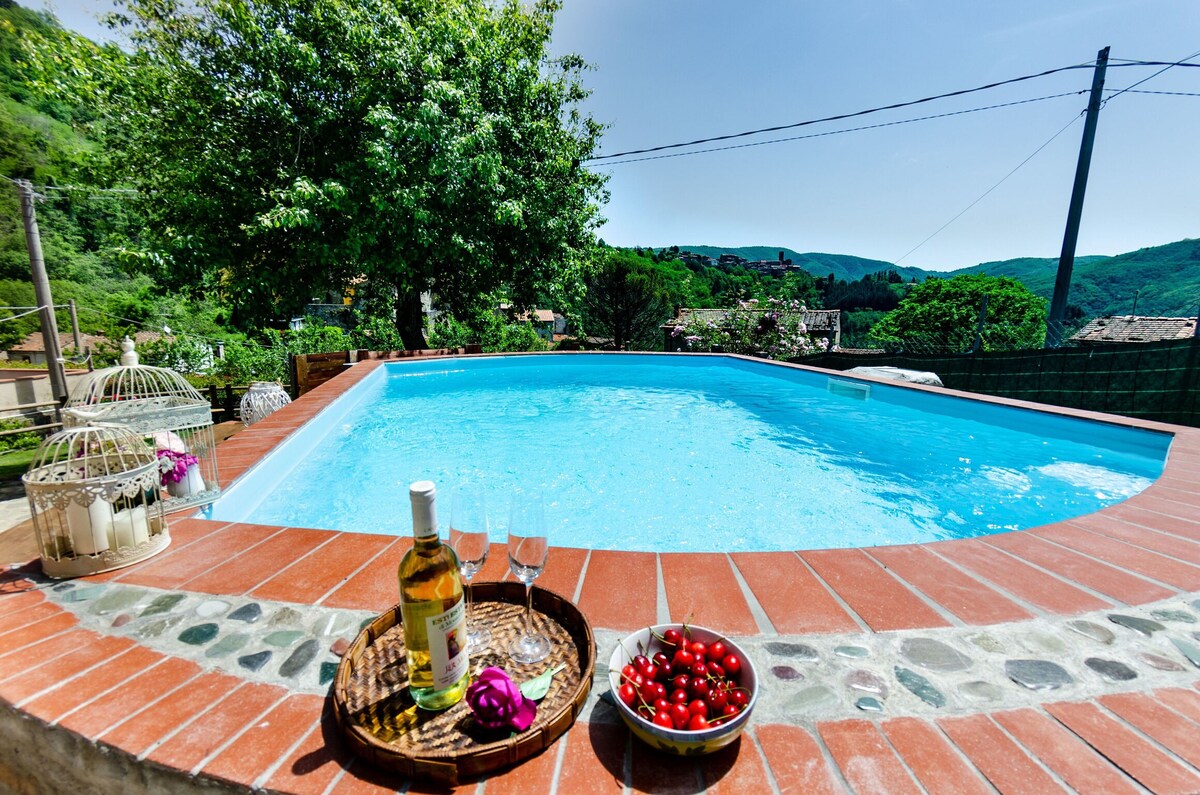 Holiday home on the hills between Pescia and Lucca