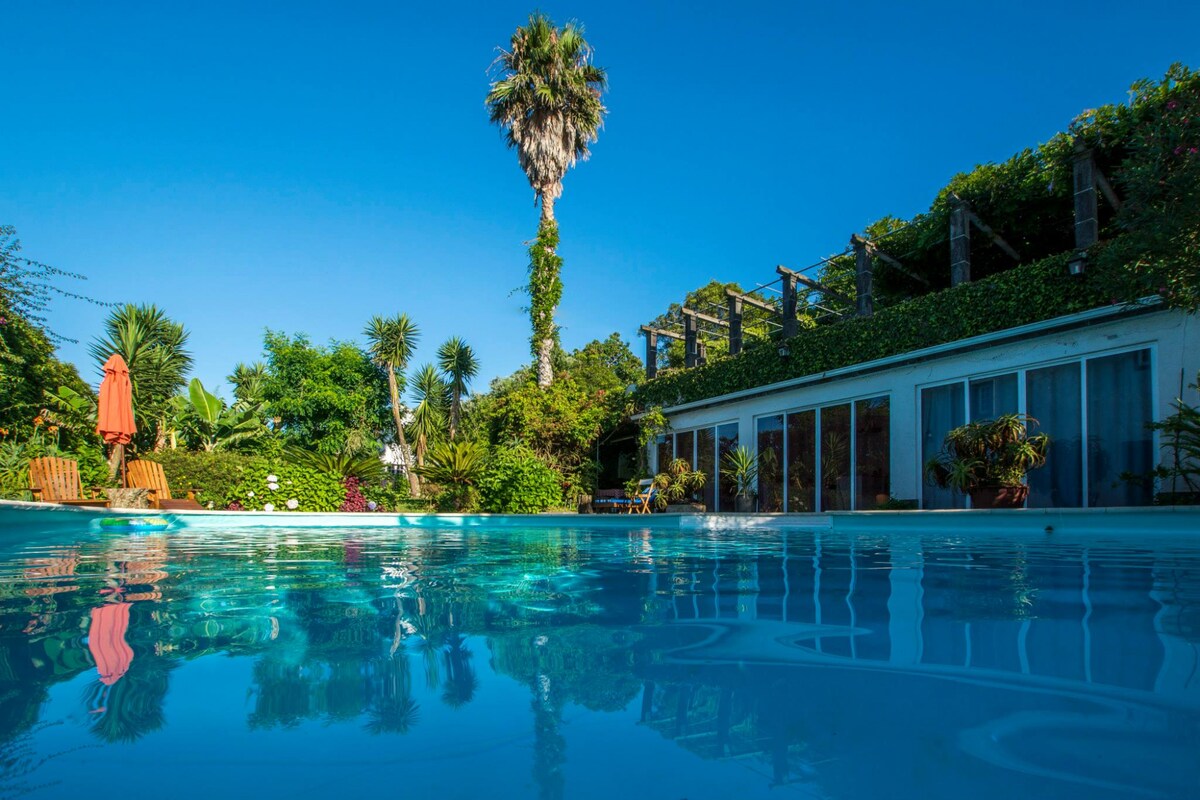 Poolside pad in exotic fruit orchard