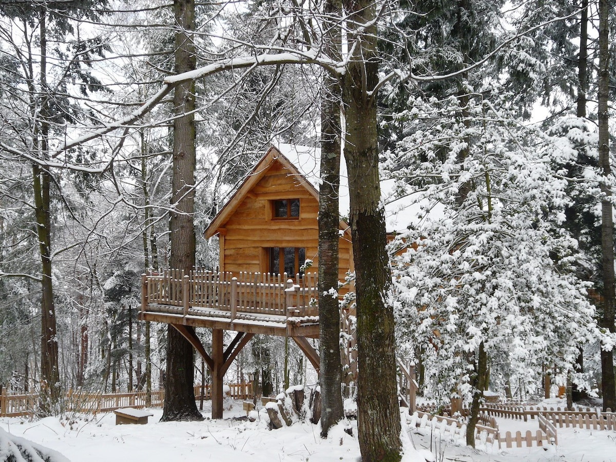 Cabane Ours Insolite-Cabin-Economy-Shared Bathroom