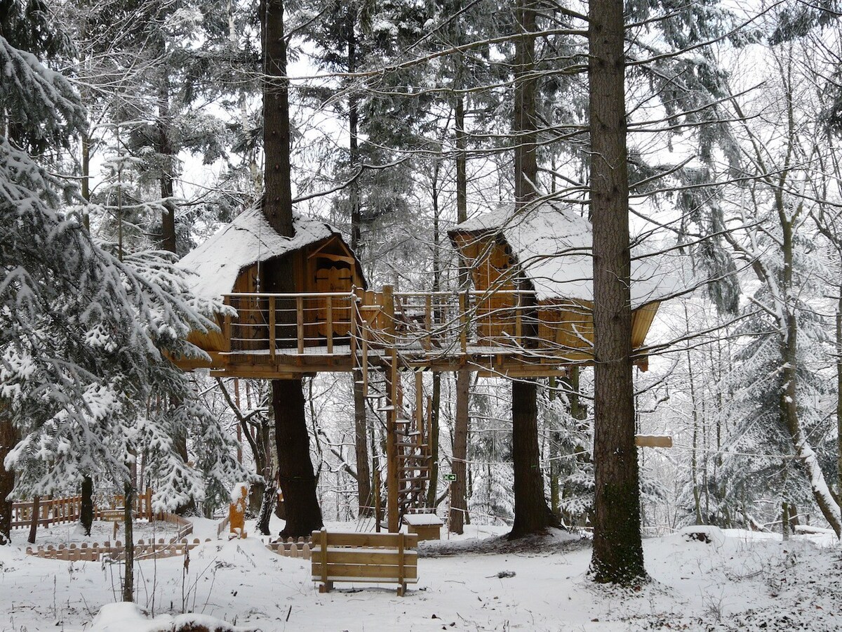 Cabane castor - Insolite