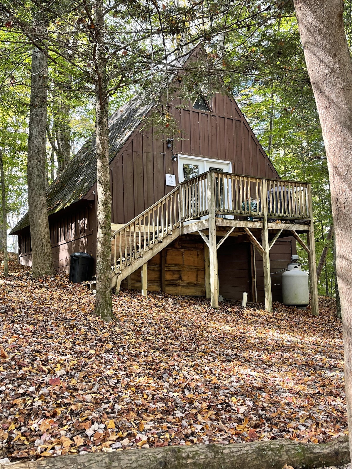 宠物友好型小屋，带热水浴缸