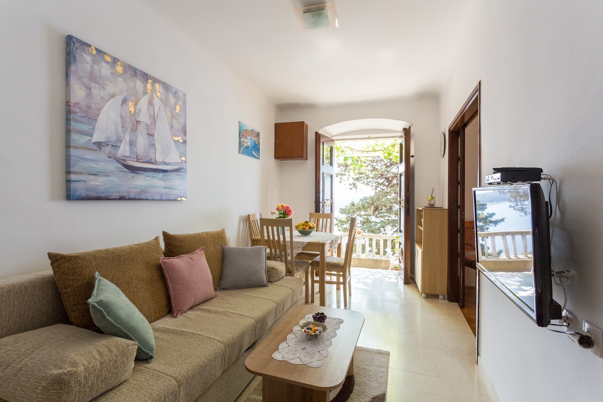 海景公寓-带露台和海景的双卧室公寓（ Vlaha Bukovca 21 ）